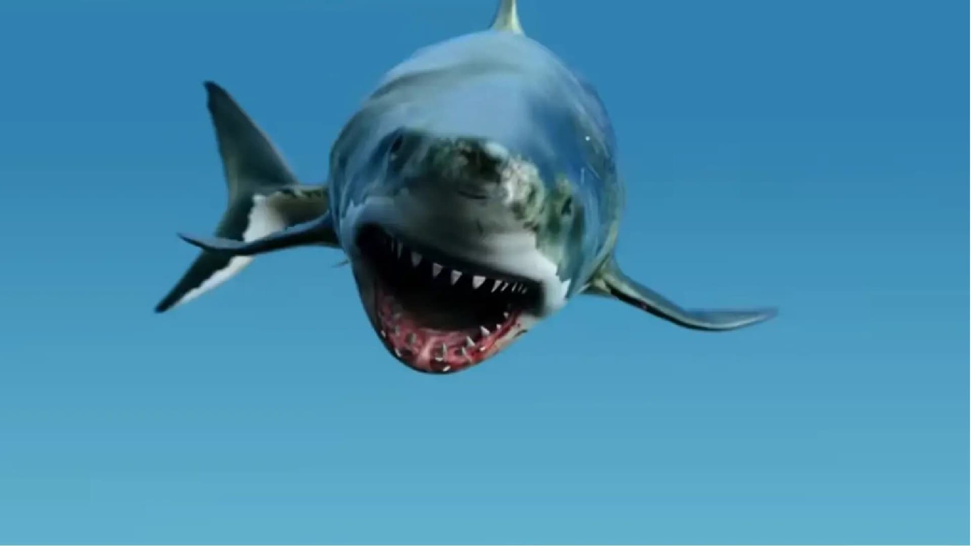 Megalodon Trở Lại - Ảnh 2
